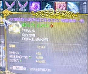 +19增强攻爆金毛