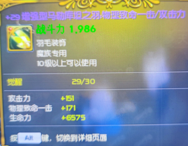 +29增强爆攻毛副本极品