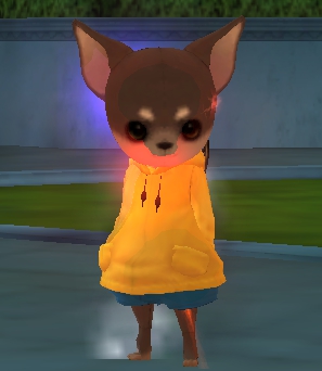 +9小凯子套满级西塔极品杀