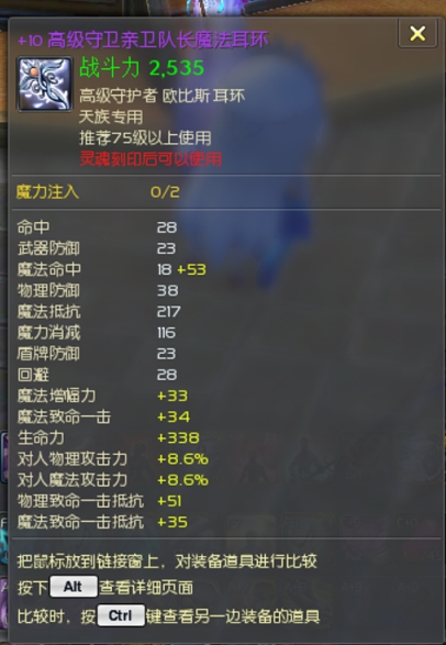 +10亲卫队长魔法耳环