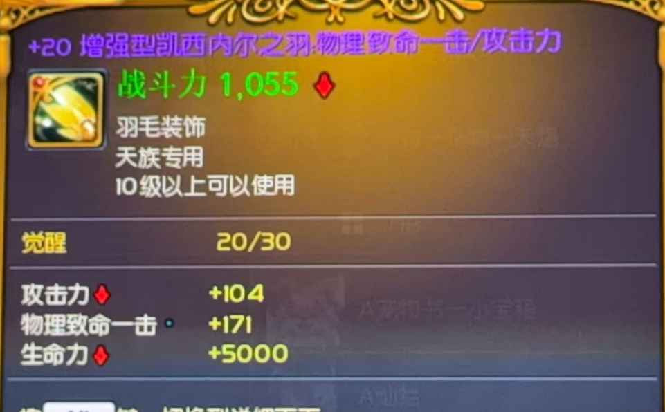 +20增强型爆攻物理毛